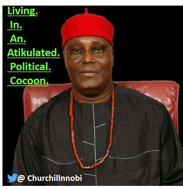 atikulated political cocoon